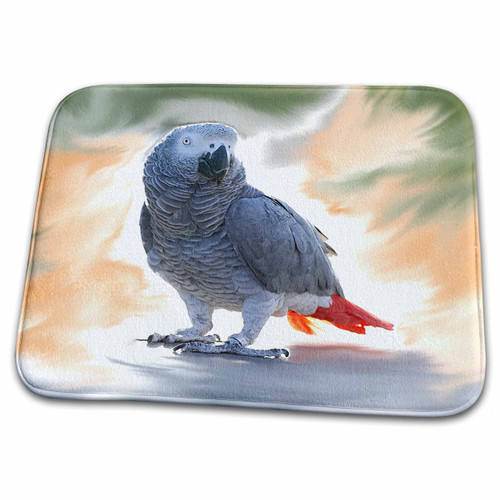 3dRose Birds - African Grey Parrot - Bathroom Bath Rug Mats (rug-4030-1) 3dRose Birds - African Grey Parrot - Bathroom Bath Rug Mats (rug-4030-1)