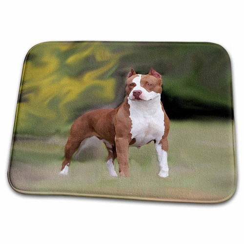 3dRose Dogs Pitbull - American Pit Bull Terrier - Bathroom Bath Rug Mats (rug-4239-1)