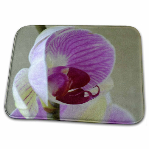 3dRose Pretty Orchid- Pink Flowers- Tropical Photography - Bathroom Bath Rug Mats (rug-45256-1) 3dRose Pretty Orchid- Pink Flowers- Tropical Photography - Bathroom Bath Rug Mats (rug-45256-1)