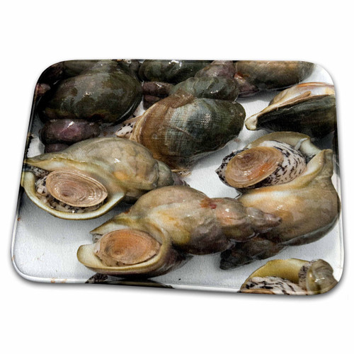 3dRose Quebec, Snail Fishing, Sainte Anne des Monts-CN10... - Bathroom Bath Rug Mats (rug-72042-1)