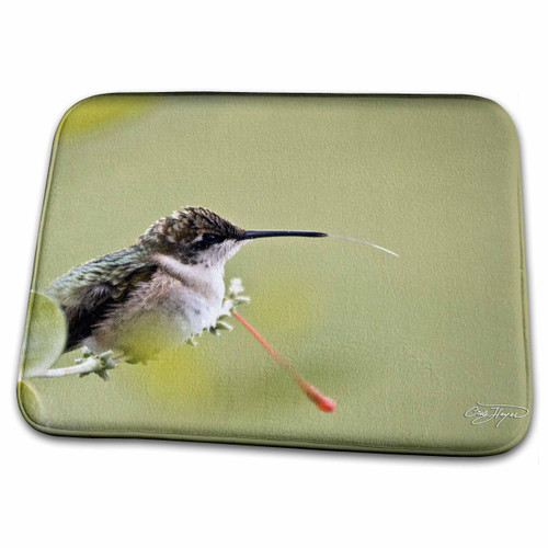 3dRose Tasting The Air - Hummingbird at Rest - Bathroom Bath Rug Mats (rug-79476-1)