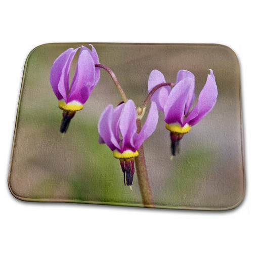 3dRose WA Okanogan Forest Alpine Shooting Star Flowers -... - Bathroom Bath Rug Mats (rug-96214-1)
