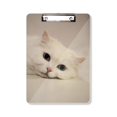 Cat White Kitty Pet Animal Relax Clipboard Folder Writing Pad Backing Plate A4