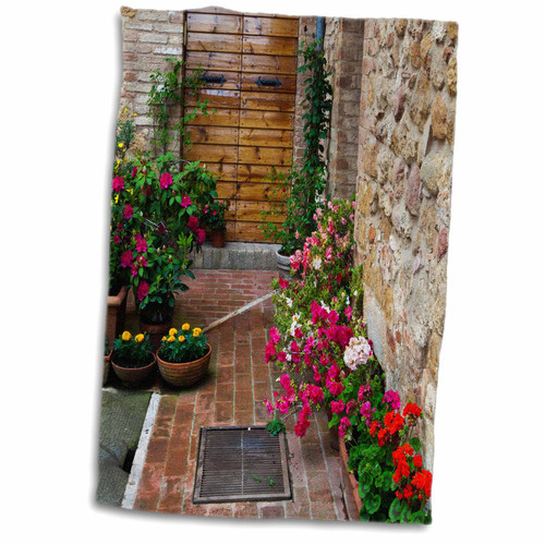 3dRose House Doorway and Flowers, Pienza, Tuscany, Italy - EU16 TEG0359 -... - Towels (twl-138205-1)