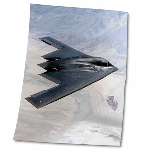 3dRose Air Force - Air Force B-2 - Towels (twl-13893-2)