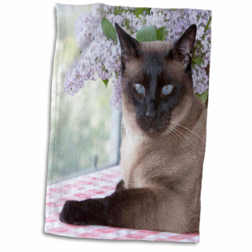 3dRose Siamese cat on Tablecloth with Lilacs - NA02 PWO0102 - PiperAnne... - Towels (twl-140344-1) 3dRose Siamese cat on Tablecloth with Lilacs - NA02 PWO0102 - PiperAnne... - Towels (twl-140344-1)