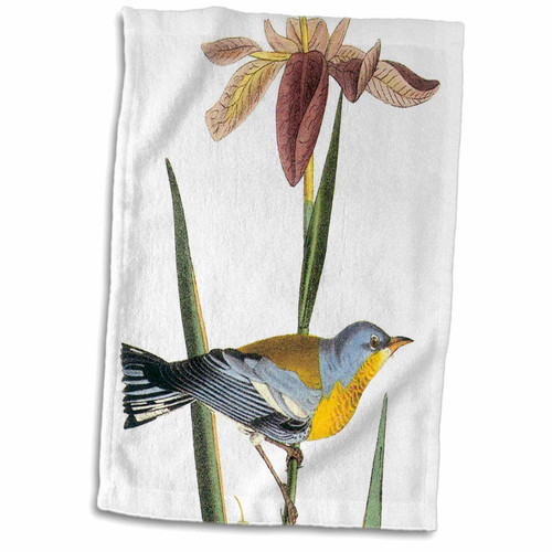 3dRose PS Vintage - Grey and Yellow Bird - Towels (twl-151971-1)
