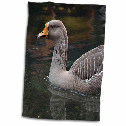 3dRose Susans Zoo Crew Animals - Grey Goose Swimming Across Bird - Towels (twl-178462-1)