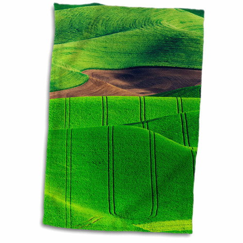 3dRose Danita Delimont - Agriculture - Hills covered by wheat fields. - Towels (twl-207921-1)