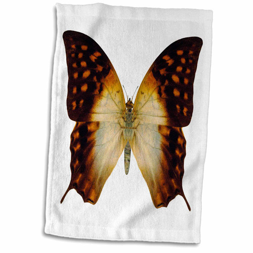 3dRose Brown and Orange Butterfly Photograph - Towels (twl-210813-1) 3dRose Brown and Orange Butterfly Photograph - Towels (twl-210813-1)