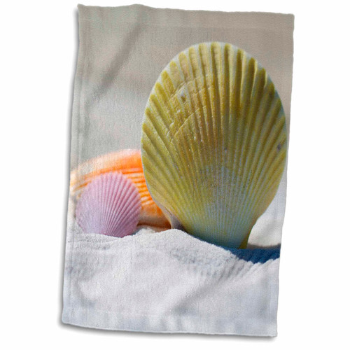 3dRose Sven Herkenrath Nature - Seashell - Towels (twl-234240-1)