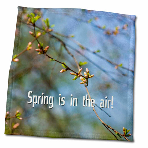 3dRose Spring is in The air and Pink Buds of a Sakura Japanese Cherry Tree - Towels (twl-303969-3)