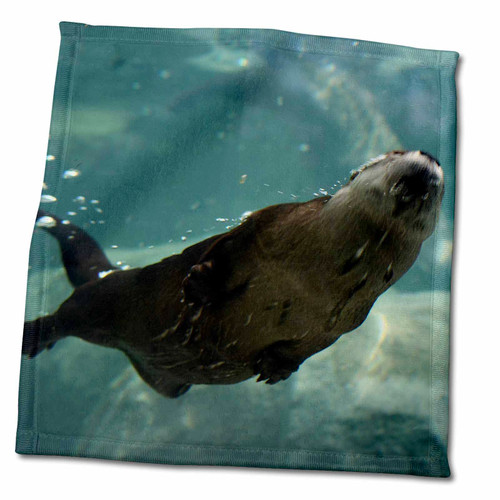 3dRose an Otter Swimming That Shows air Pockets - Towels (twl-57725-3)