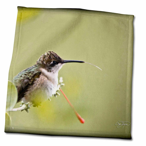 3dRose Angel Wings Designs Nature - Tasting The Air - Hummingbird at Rest - Towels (twl-79476-3)