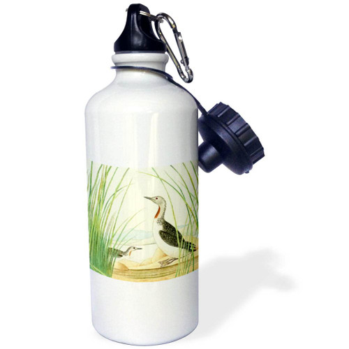 3dRose Vintage Bird Art Red-throated Loon or Diver Birds illustration... - Water Bottles (wb-364668-1) 3dRose Vintage Bird Art Red-throated Loon or Diver Birds illustration... - Water Bottles (wb-364668-1)