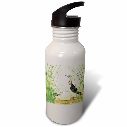 3dRose Vintage Bird Art Red-throated Loon or Diver Birds illustration... - Water Bottles (wb-364668-2) 3dRose Vintage Bird Art Red-throated Loon or Diver Birds illustration... - Water Bottles (wb-364668-2)