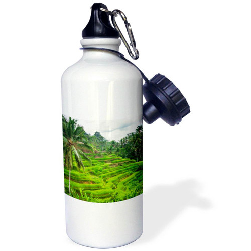 3dRose Rice fields at Tegallalang Rice Terrace, Bali, Indonesia. - Water Bottles (wb-366330-1)
