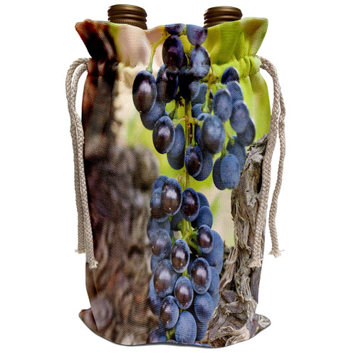 3dRose Danita Delimont - Vineyards - USA, WA, Yakima Valley, Syrah Grape vineyard - US48 RTI0231 - Rob Tilley - Wine Bag (wbg_96774_1)