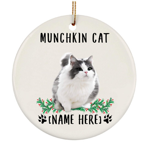 Munchkin Cat Grey Cat Gifts 2023 Christmas Tree Ornaments Personalized with Your Cats Name Ceramic Circle