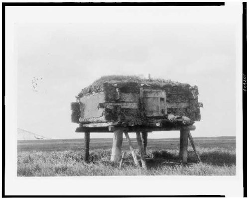 HistoricalFindings Photo: Food caches,Storage Buildings,Structures,Inuits,Hooper Bay,Alaska,E Curtis,c1929