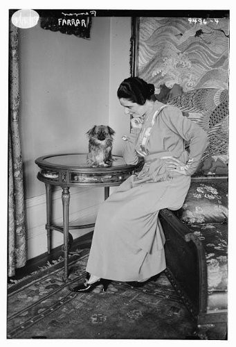 HistoricalFindings Photo: Geraldine Farrar,1882-1967,American Soprano Opera Singer,Film Actress,Dog,Table