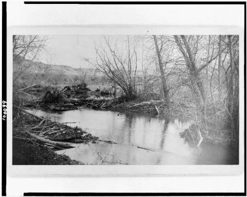 HistoricalFindings Photo: Home,Beaver,Streams,Rivers,dams,Trees,Stick,Clear Creek,Arizona,AZ,E Mearns,1887