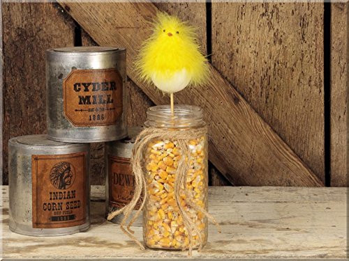 Honey In Me Spring Chick in Egg on a Stick - Set of 4