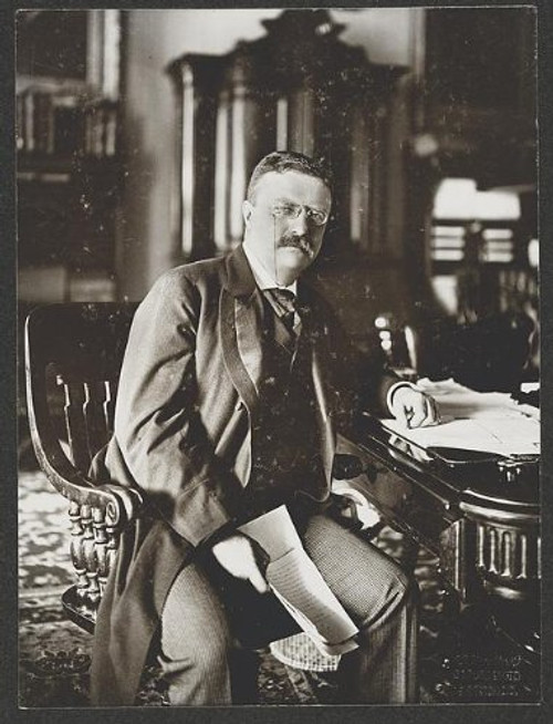 HistoricalFindings Photo: Theodore Roosevelt,President,Desk,Office,Seated,Barnett McFee Clinedinst,c1902