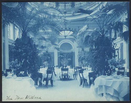 HistoricalFindings Photo: Willard Hotel Dining Room,Eating Areas,Plants,Trees,Tables,Washington DC,1901