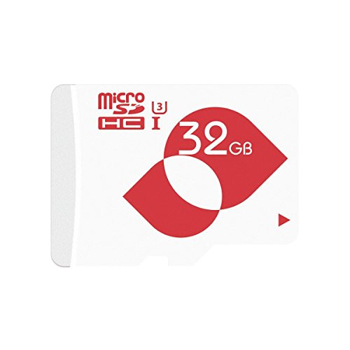 MENGMI Micro SD Card 32GB Class 10 U3 Micro SDHC Memory Card 32GB with SD Adapter for Drone 4K Video Capture Ten Year Warranty (32GB U3)