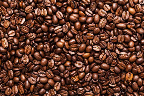 Glory Nuts Organic Guatemalan Coffee 12 Ounce Roasted Coffee Beans Glory Nuts Organic Guatemalan Coffee 12 Ounce Roasted Coffee Beans