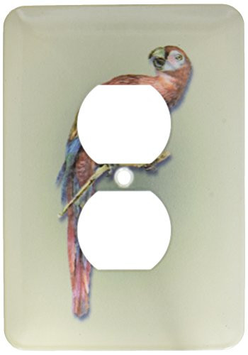 3dRose lsp_170782_6  Victorian Scarlet Macaw with Red, Blue and Green Feathers 2 Plug Outlet Cover