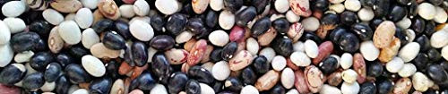 BSD Organics Try Mix Beans / Prueba mezclar frijoles / Mix of White / Kidney/Pinto brown bean (500 Gram / 1.1 Pound)