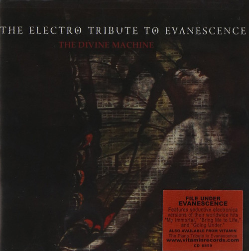 Electro Tribute to Evanescence