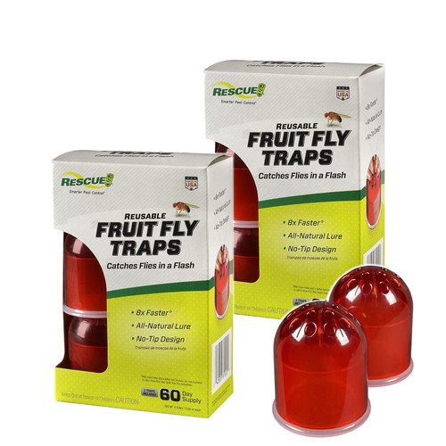 RESCUE! Reusable Indoor Fruit Fly Traps with Non-Toxic Liquid Attractant - 2 Traps, 2-Pack (4 Traps)
