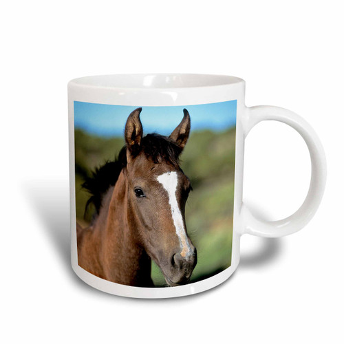 3dRose Andalusian Colt, Horse-NA02 LKL0007-Lee Klopfer Ceramic Mug, 11 oz, White 3dRose Andalusian Colt, Horse-NA02 LKL0007-Lee Klopfer Ceramic Mug, 11 oz, White