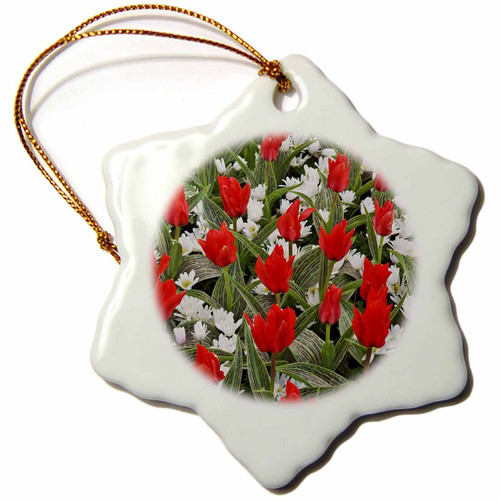 3dRose Netherlands, Lisse, Tulips, Keukenhof Gardens-EU20 BJA0008-Jaynes Gallery-Snowflake Ornament, Porcelain, 3-inch (ORN_82261_1)