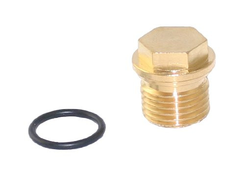 Briggs & Stratton 201495GS Plug for Pumps on Pressure Washers