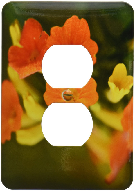 3dRose LLC lsp_10407_6 Colorful Flowers, 2 Plug Outlet Cover