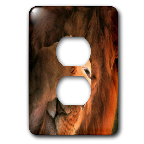 3dRose lsp_21303_6 Silly Me 2 Plug Outlet Cover