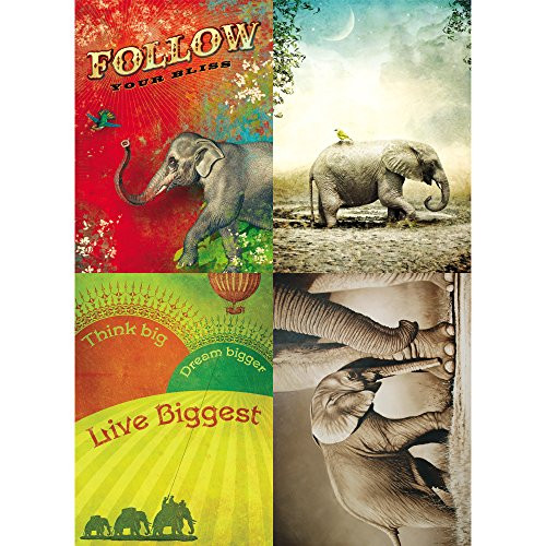 Tree-Free Greetings Elephant Love Encouragement Card Assortment, 5 x 7 Inches, 8 Cards and Envelopes per Set (GA31514)