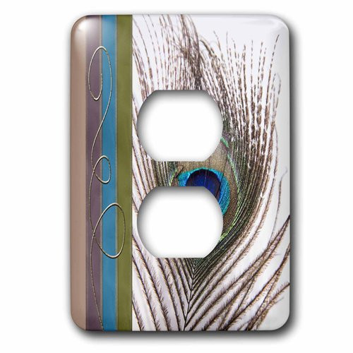 3dRose lsp_202271_6 Peacock Feather with Gold Trim Look 2 Plug Outlet Cover
