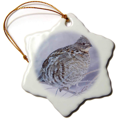3dRose Snowflake Ornament - Ruffed Grouse in Cold Winter Weather. - 3-inches (ORN_278078_1)