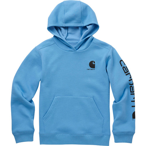 Carhartt Boys' Big Hoodie Fleece Pullover Sweatshirt, Azure Blue, L (14/16)