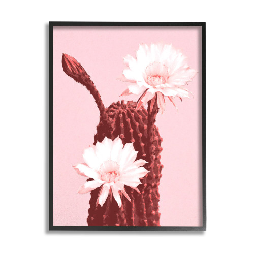 Stupell Industries Pink Cactus Flowers Black Framed Giclee Art Design by Lil' Rue