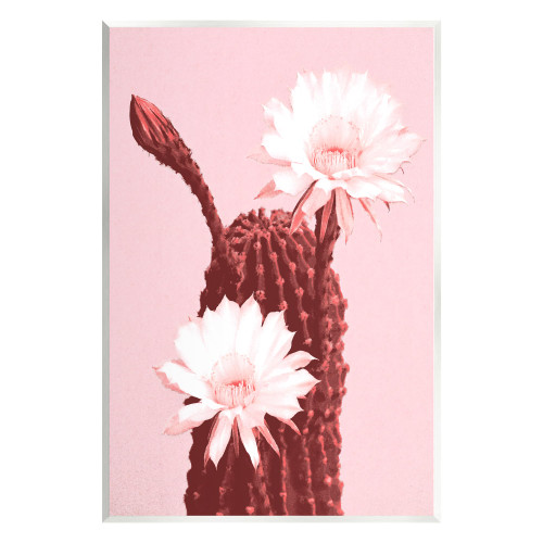 Stupell Industries Pink Cactus Flowers Wall Plaque Art Design by Lil' Rue