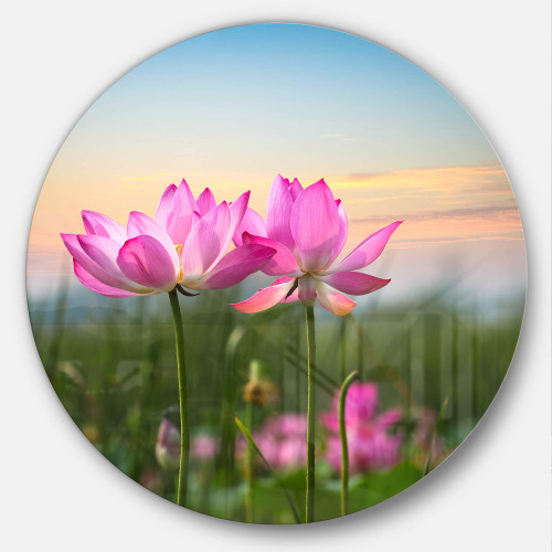 Designart Blooming Lotus Flowers at Sunset-Floral Photo Round Wall Art-Disc of 23, 23'' H x 23'' W x 1'' D 1P, Pink Designart Blooming Lotus Flowers at Sunset-Floral Photo Round Wall Art-Disc of 23, 23'' H x 23'' W x 1'' D 1P, Pink