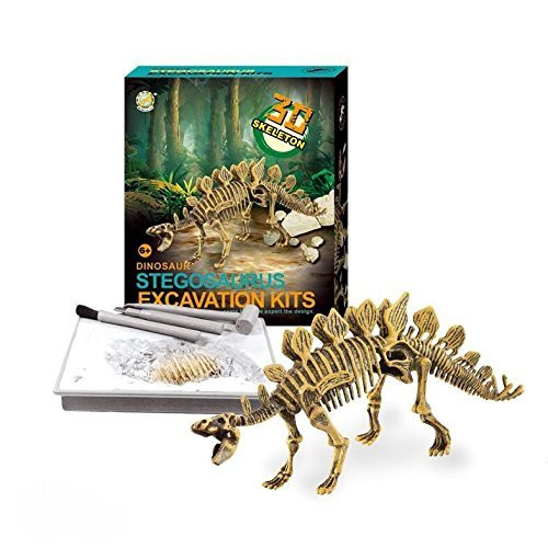 Liberty Imports Dinosaur Skeleton 3D Dino Fossil Bones Excavation Science Kit - Stegosaurus