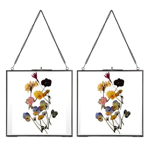 JUXYES Set of 2 Brass Wall Hanging Photo Frame, Glass Floating Frame for Display Pressed Flowers Artwork, Double Glass Floating Frame Style Square Gallery Wall Frame for Photo Picture Poster etc