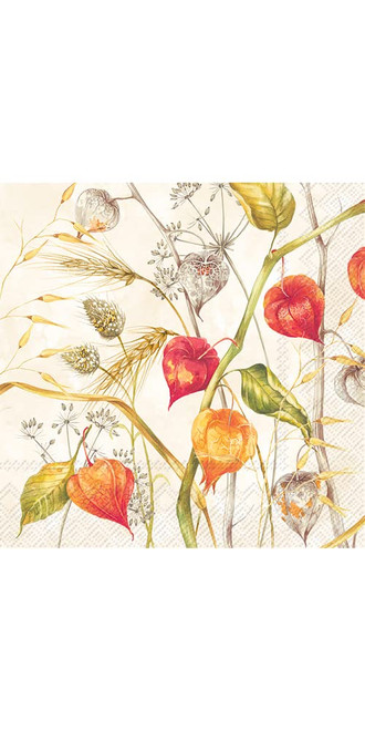 Boston International IHR Floral Fall Autumn Thanksgiving 3-Ply Paper Napkins, 20-Count Lunch Size, Lampiona Garden- Cream